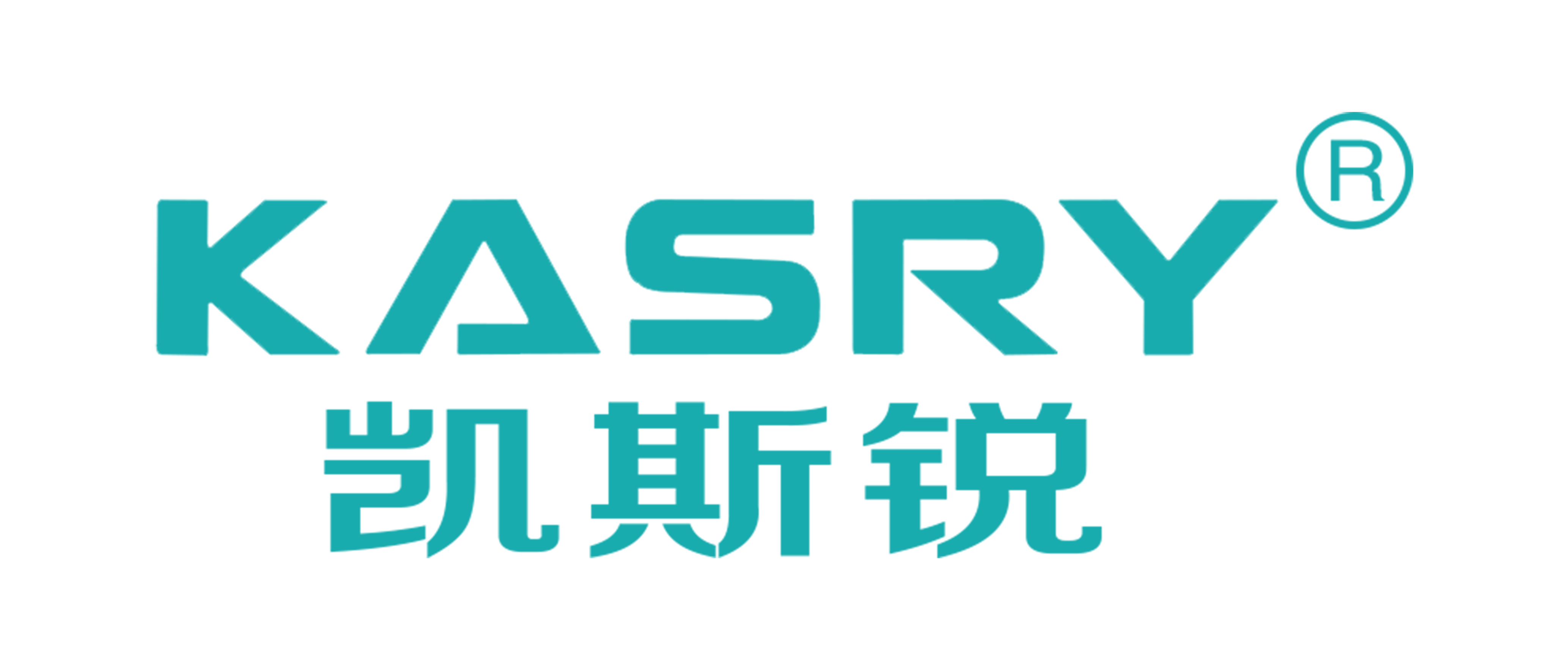 Shandong KASRY Intelligent Equipment Co., Ltd